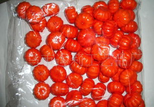 仿真工藝品水果系列 桔子盆景配件與盆栽全面解析